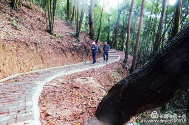 蕉岭很山吗