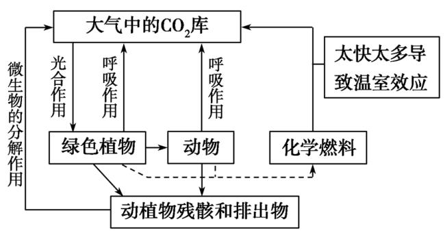 物质的循环利用原理是怎样的