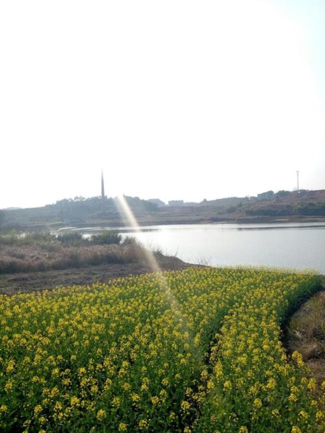 四川崇阳县属于哪个市