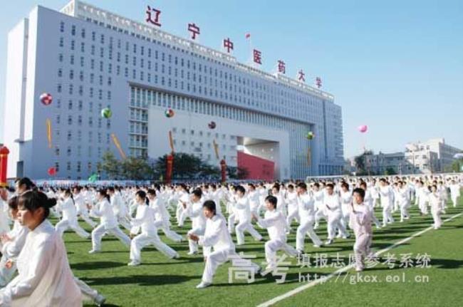 沈阳中医药大学怎么样