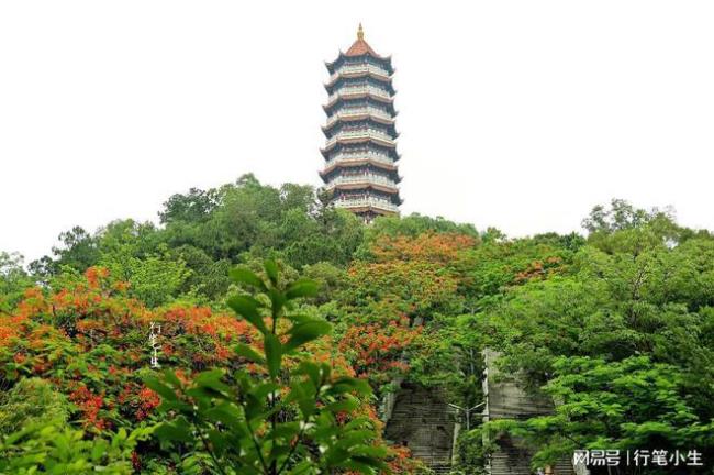 中山黄圃尖峰山公园要门票吗