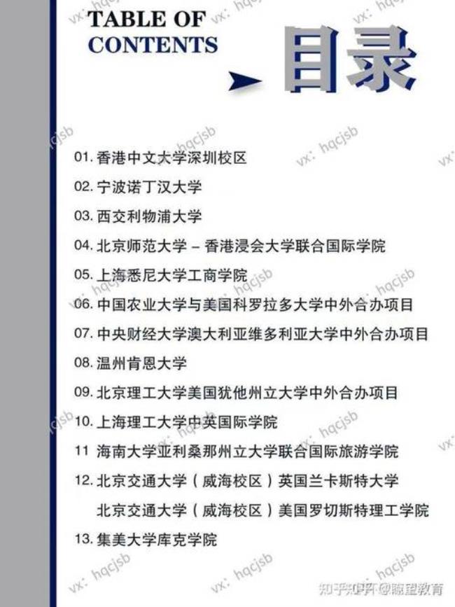 吉林大学中外合作办学咋样