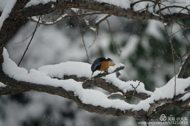 雪落无痕是什么意思