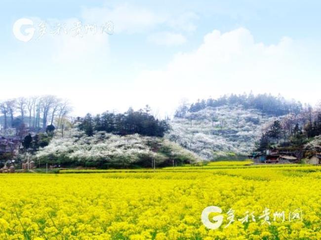 贵州贵定旅游必去景点