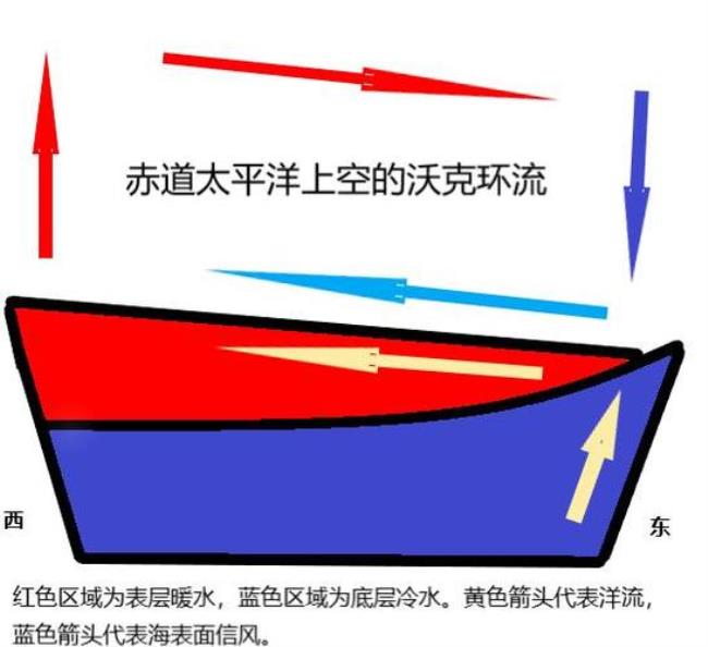 为什么赤道太平洋水温东冷西暖