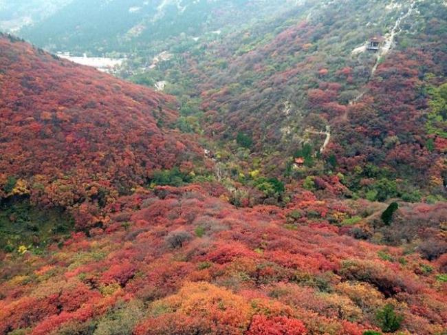 临朐石门坊景区有没有索道