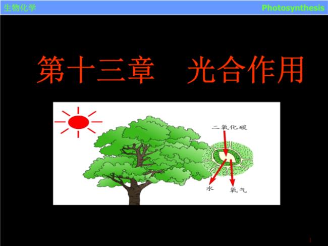 光合作用机制