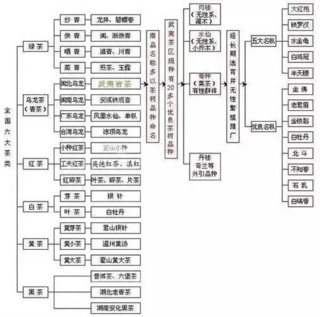 六大茶类都有那些