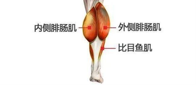 屁股大腿根肌肉疼痛是不是肾虚