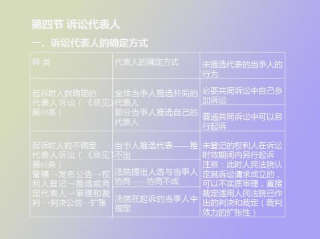 诉讼人什么意思