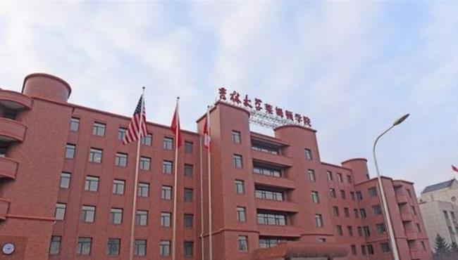 吉林大学国际商务是哪个学院