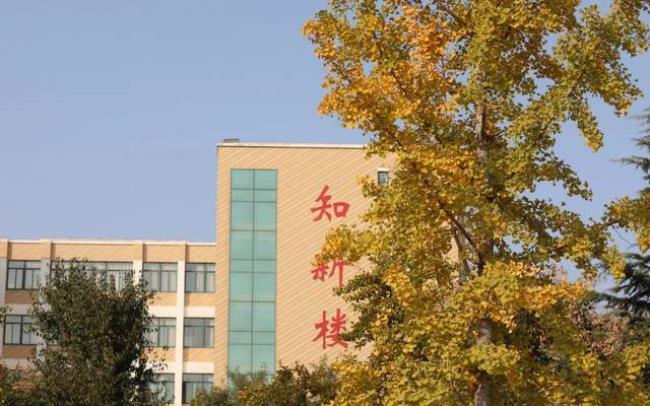 山东现代学院占地面积