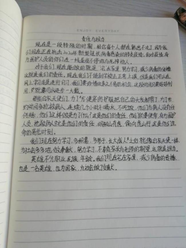 责任与担当的事例20字