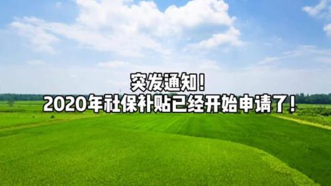 广西已停止社保补缴了吗