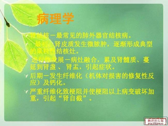 泌尿系结核可以彻底治愈吗