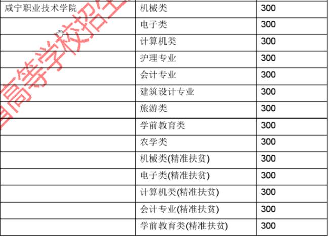 技能高考多少分上专科