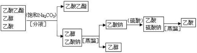 为什么乙醇氧化成乙酯