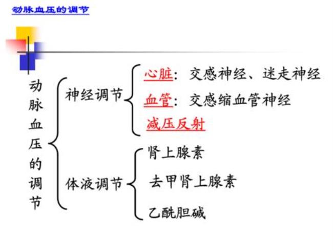 体液调节结构基础是什么