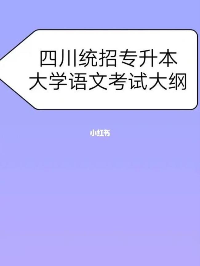 专升本考大学语文和什么英语