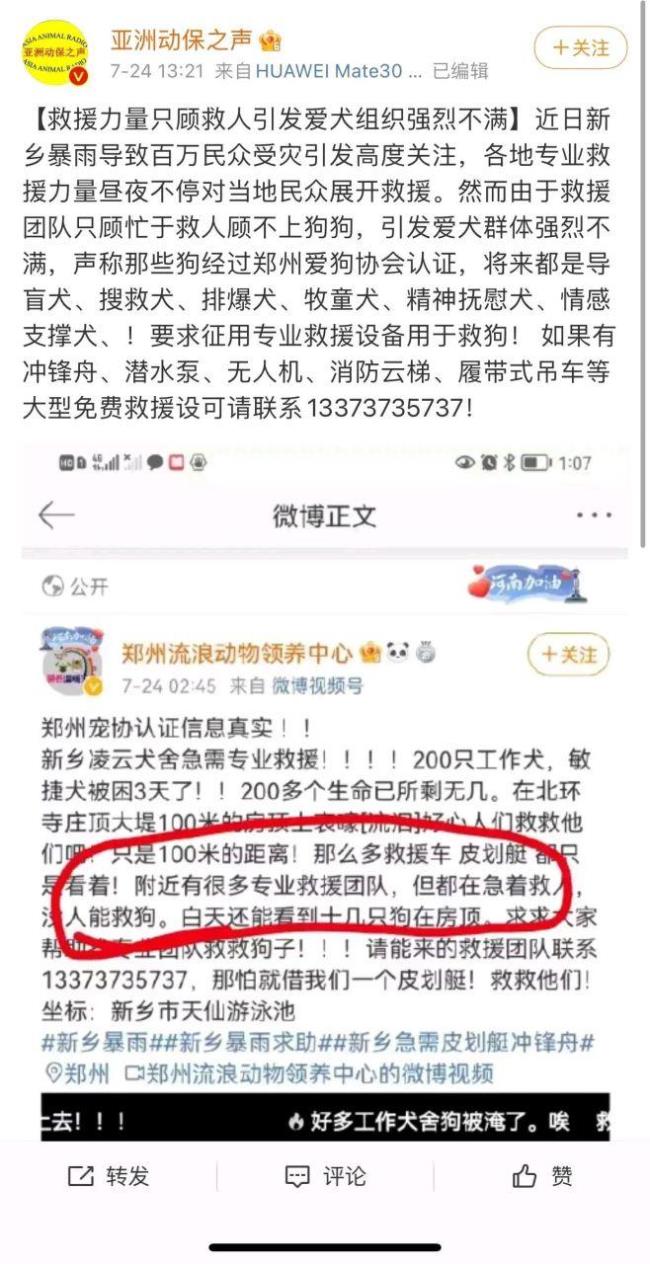 为什么爱狗人士不受法律制裁