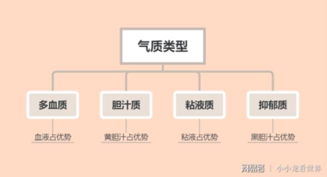 粘液质是什么性格