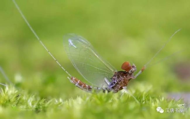 渺沧海之一粟全诗