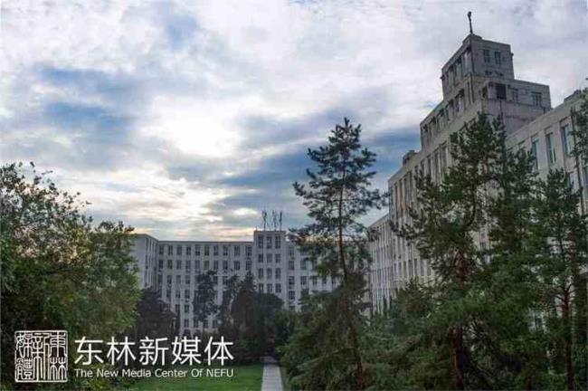 东北林业大学为什么叫东林