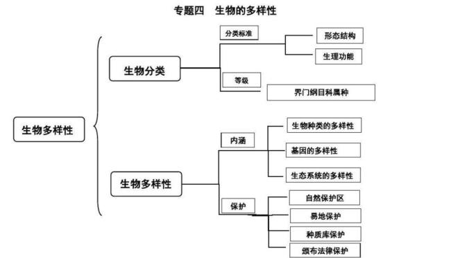 生物种别分类