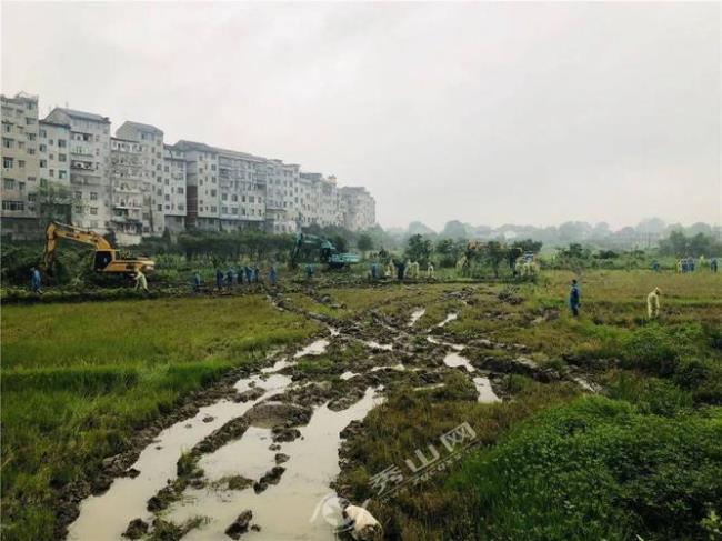 重庆市秀山县有乌杨街道吗