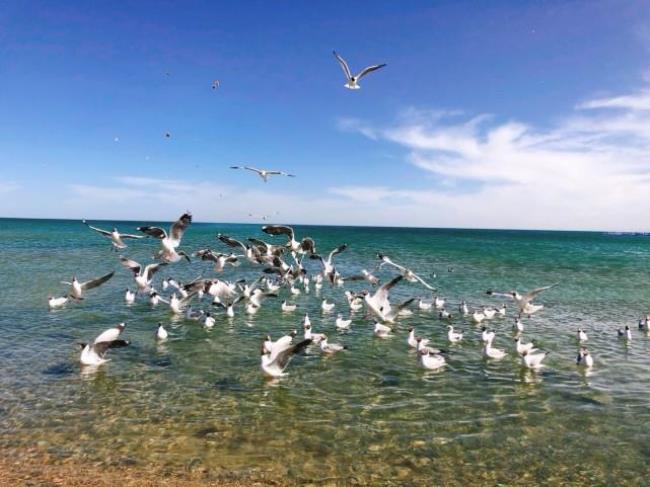 海南有青海吗