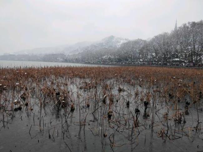 杭州下雪几率大吗