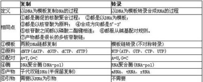 转录为何不需要引物而复制需要