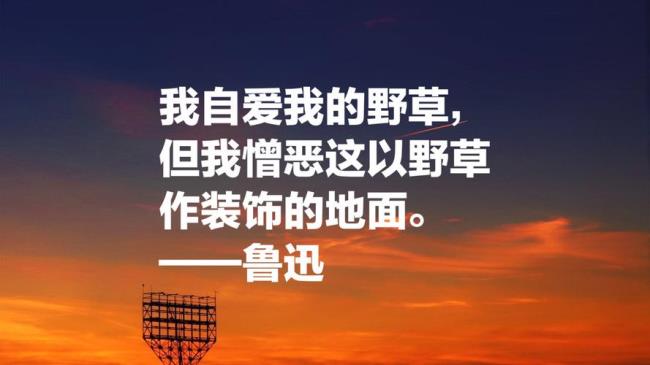 鲁迅的名言有一份热后面一句