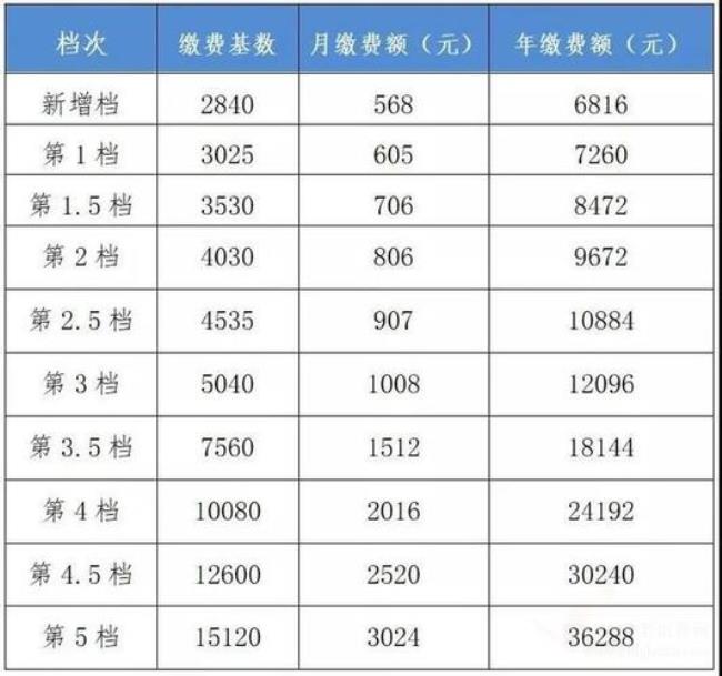 社保1450缴费基数应该是多少