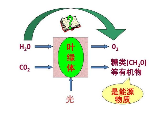 光合作用中能量转化的基本原理