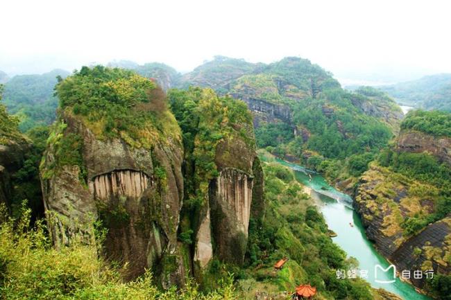 武夷山属于什么山脉