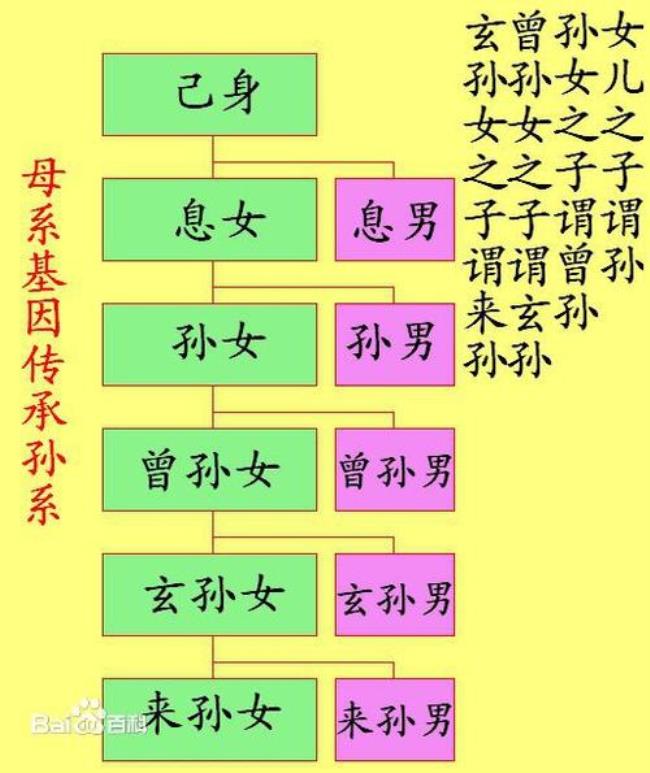 亲属关系是关联关系吗