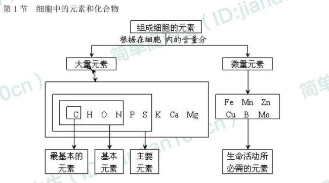 细胞核含什么基本元素