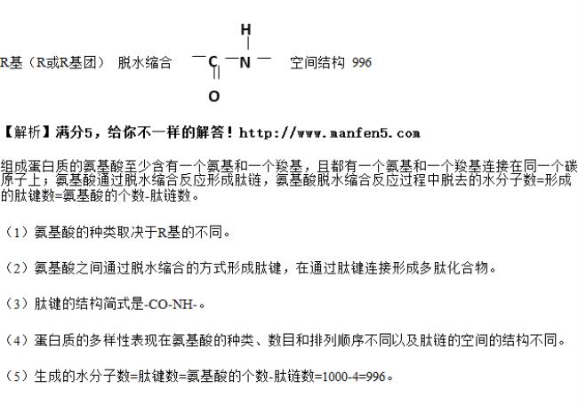 两个氨基酸反应的化学反应式