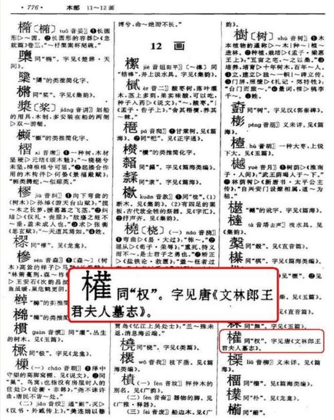 一个每加个流是什么字