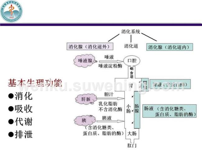 不同消化液ph不同说明了什么