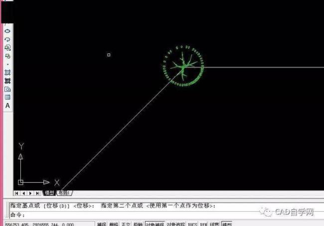 在cad中如何画出的线里有字母