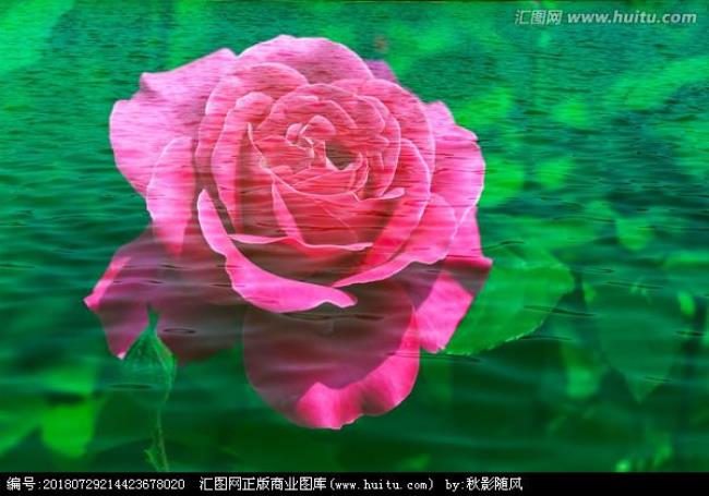 水中生花含义