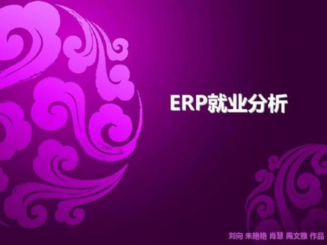 ERP软件开发工程师如何职业规划