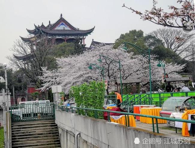 晴川历历汉阳树穿什么意思