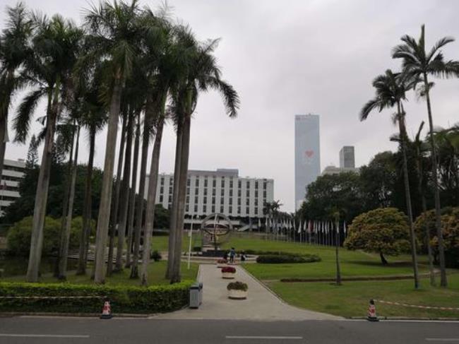 深圳大学背景