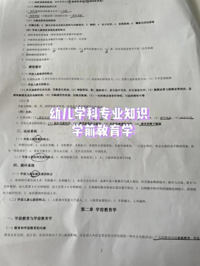 学前教育专业能考哪些教资证