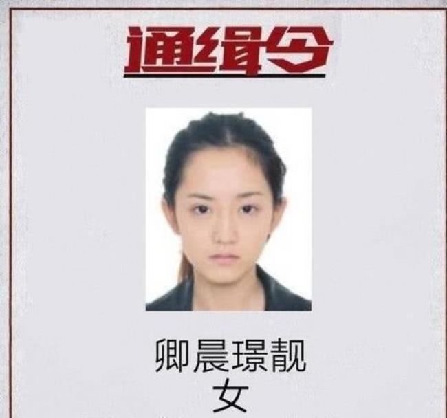 致命通缉令女主角是谁