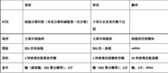 转录和翻译所需酶分别为