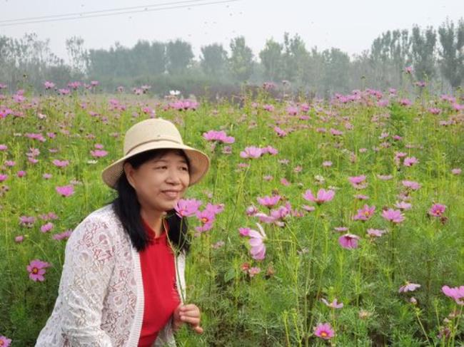 唐山花海每天的营业时间表